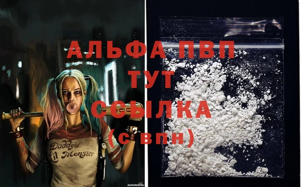 гидра Пересвет